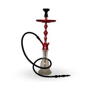 SHISHA ZAHRAH MEDIANO