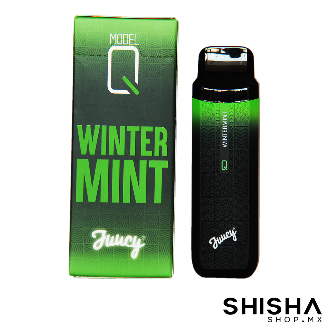 JUUCY Q - Winter Mint